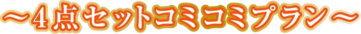 4点セットコミコミプラン
